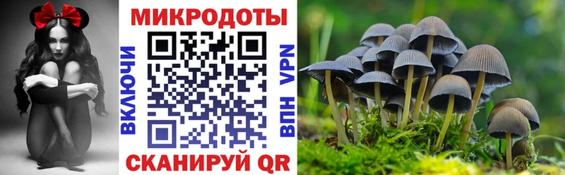 купить   Белгород  Псилоцибиновые грибы прущие грибы 