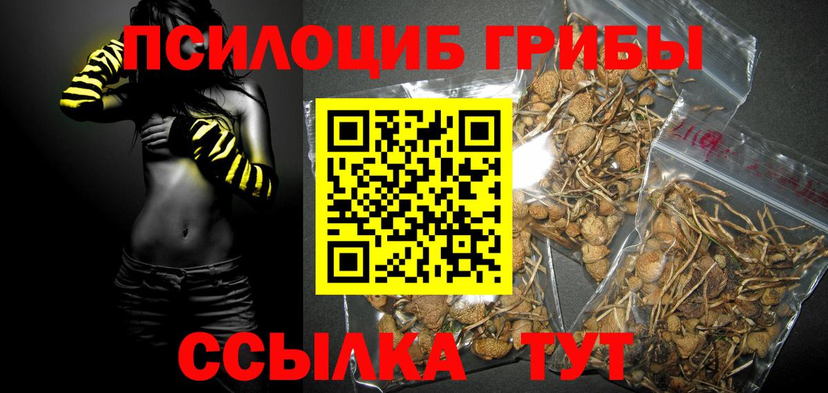 Галлюциногенные грибы прущие грибы  Псилоцибиновые грибы прущие грибы  Белгород  Вход с VPN 